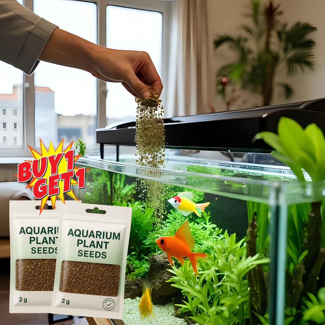 Aquarium Plants Seeds | BUY 1 GET 1 FREE