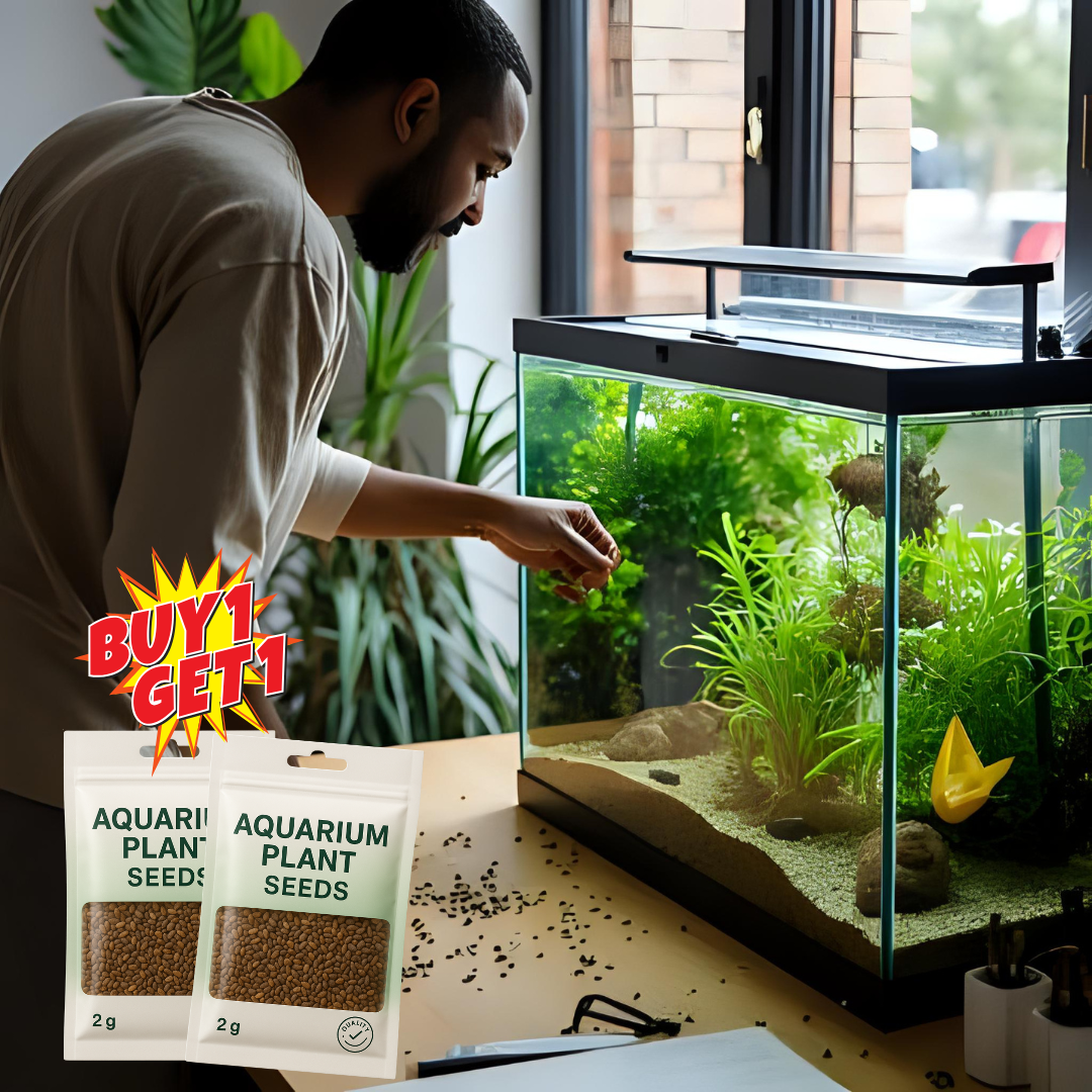 Aquarium Plants Seeds | BUY 1 GET 1 FREE