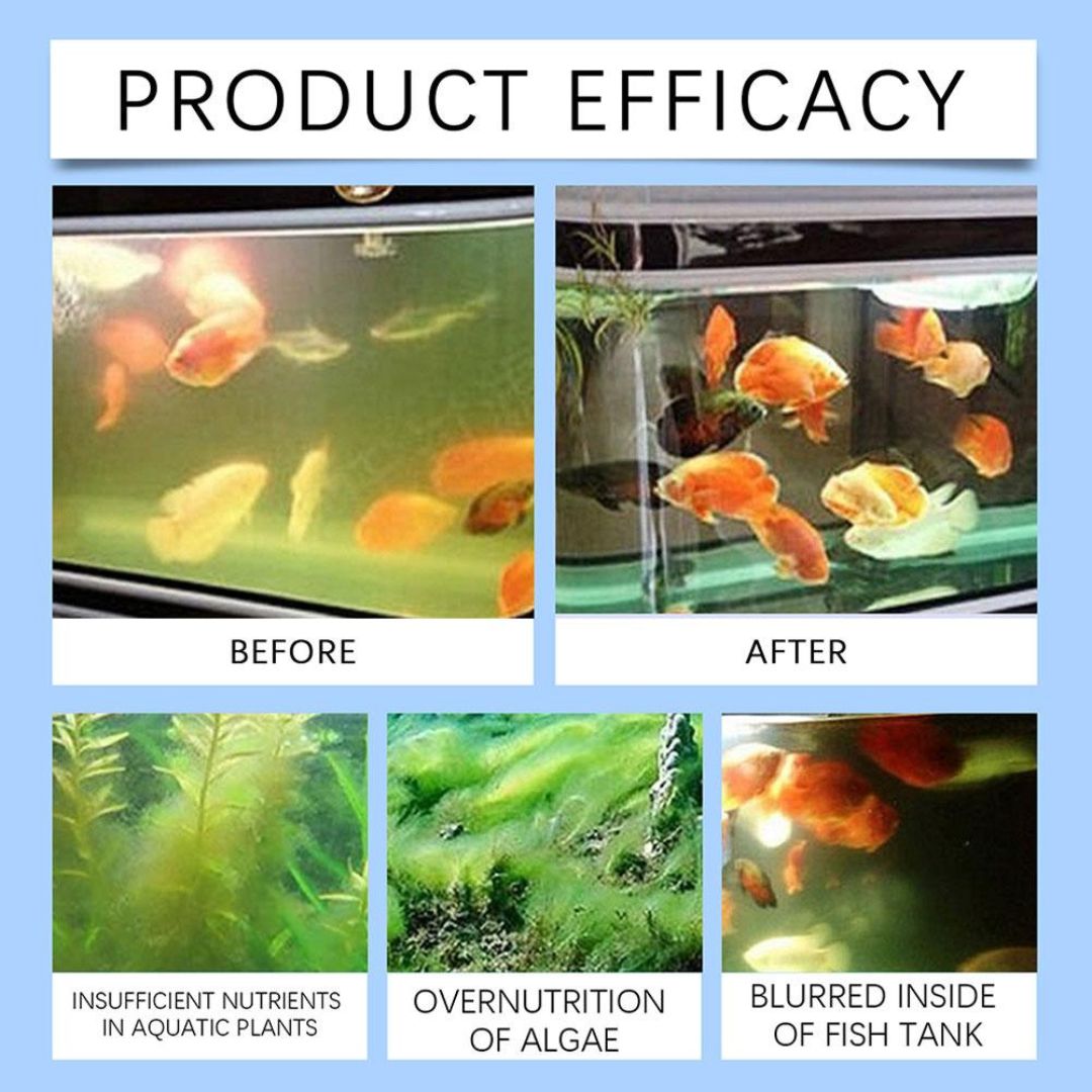 Water Purifying Agent(Buy 1 Get 1 Free)