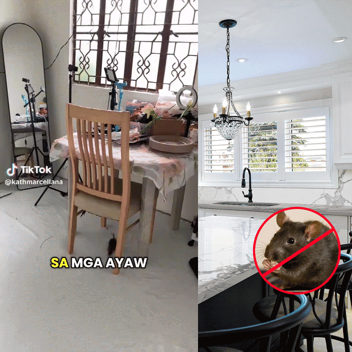 Chief™ - Rat Repellent Spray For Car and Home